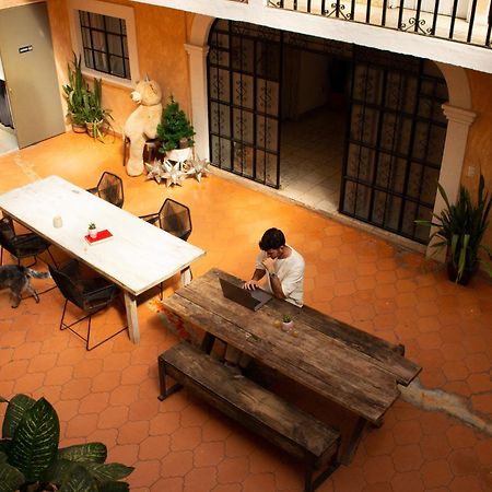 Lool Beh Hostal San Miguel de Allende Extérieur photo